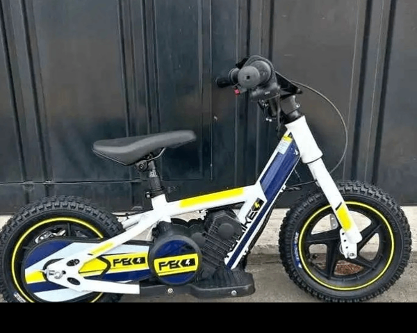 Vélo électrique enfant robuste