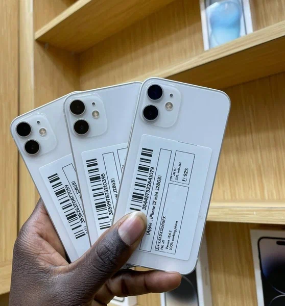 iPhone 12 Blanc 64Go