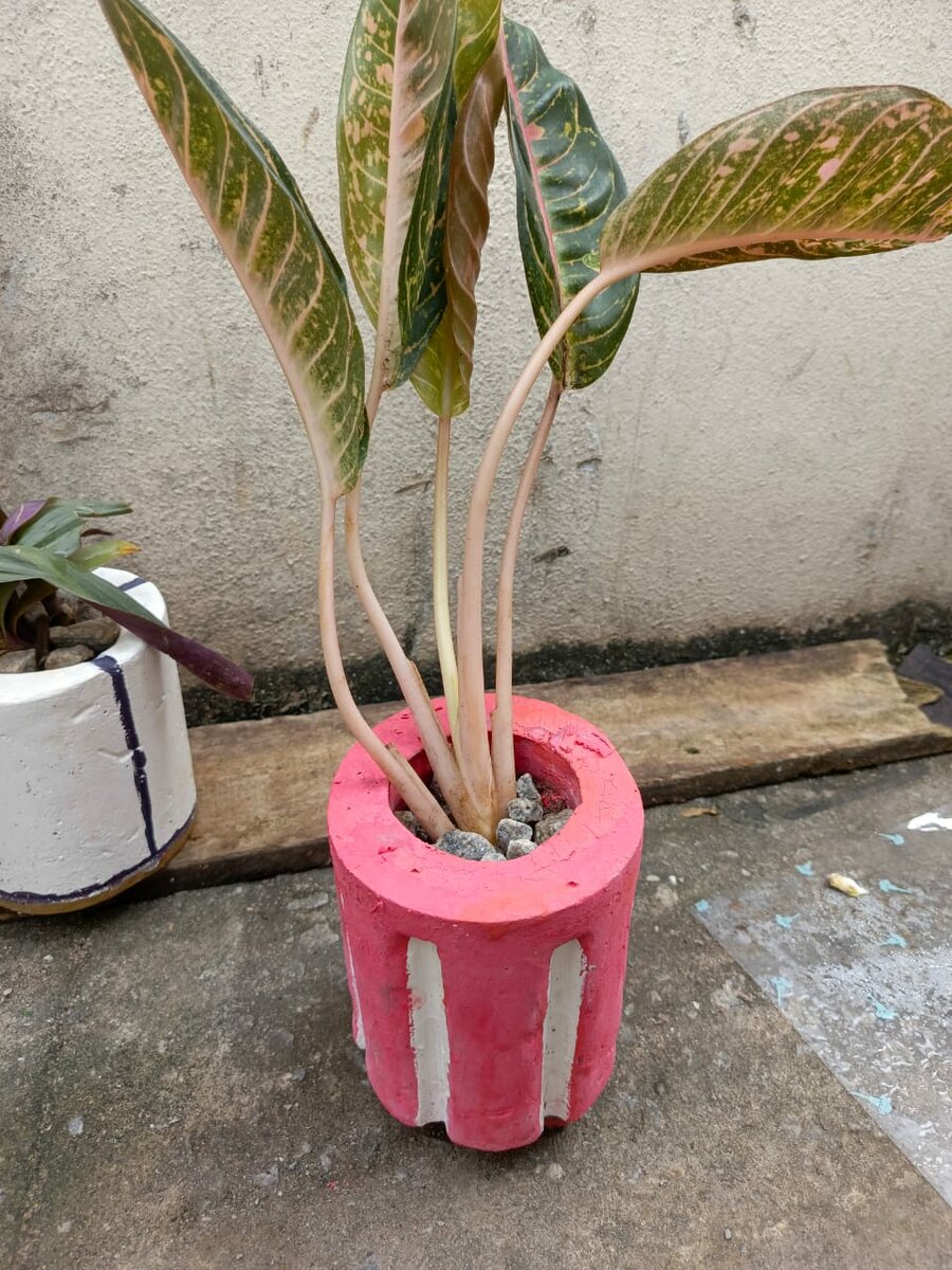 Pots en béton colorés