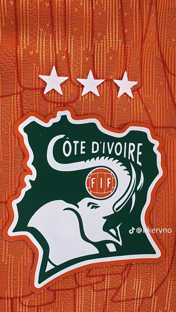 Maillot Côte d'Ivoire Puma