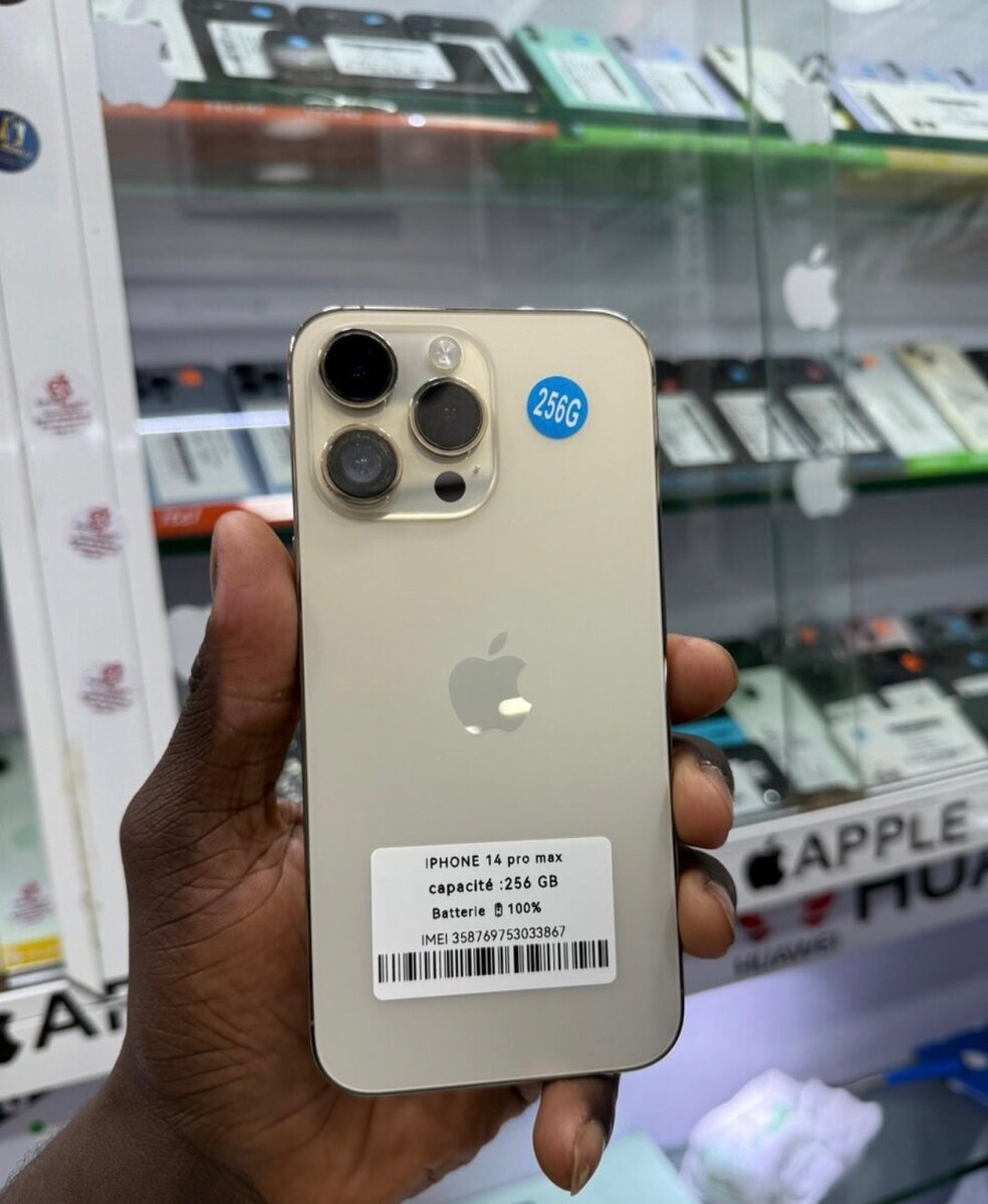 iPhone 14 Pro Max 256 Go