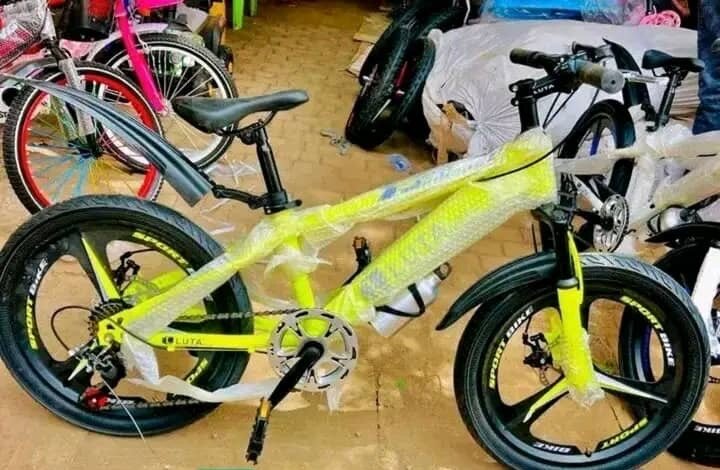 Vélo Enfant avec Stabilisateurs