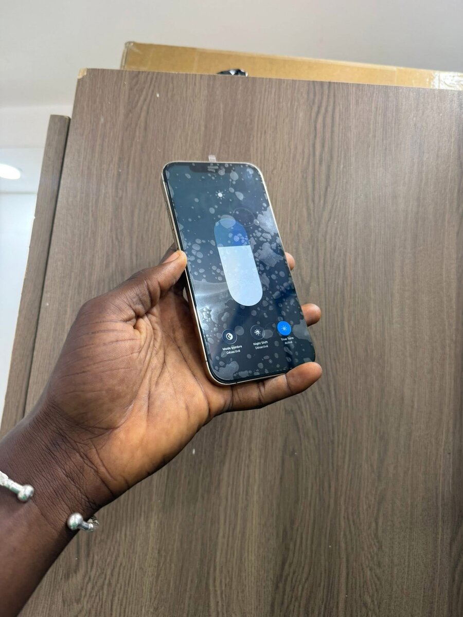 iPhone 12 Pro Argent