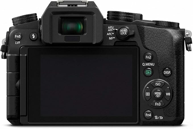Lumix Mirrorless Camera
