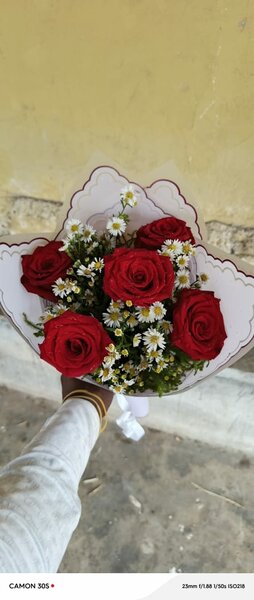 Medium Bouquet Roses