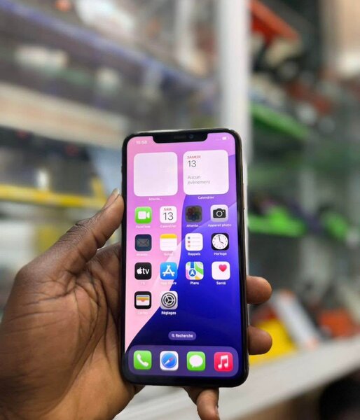 iPhone Pro Max Or 256 Go