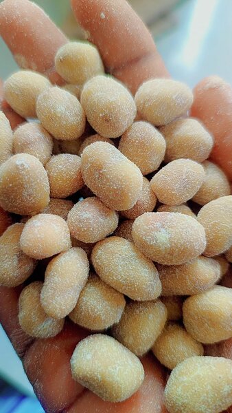 Cacahouètes enrobées