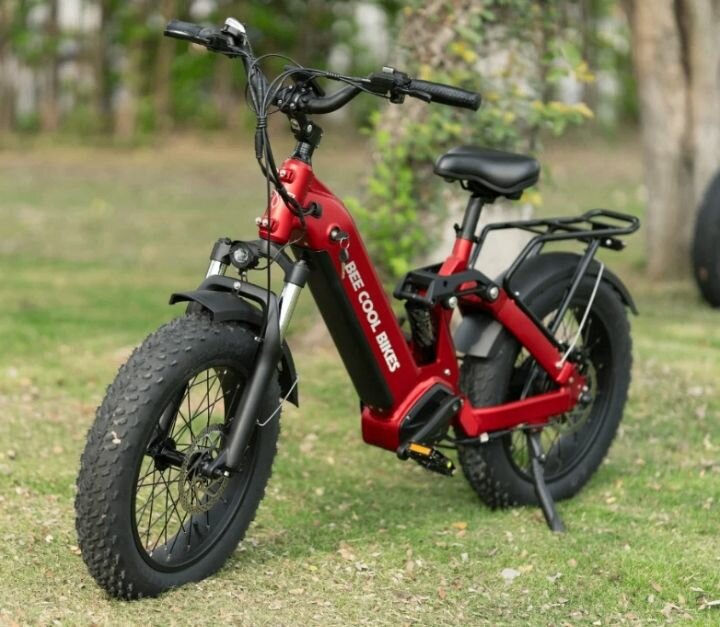 Vélo Électrique Tout-Terrain