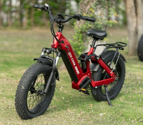 Vélo Électrique Tout-Terrain