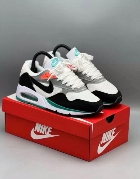 Nike Air Max Sneakers