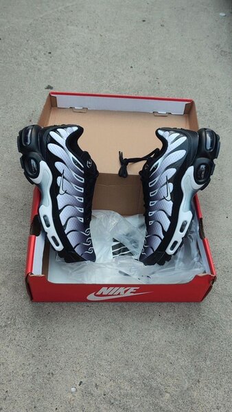 Baskets Nike Air Max Plus