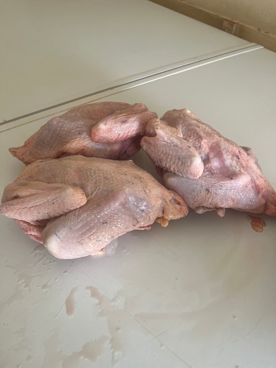 Poulet africain frais