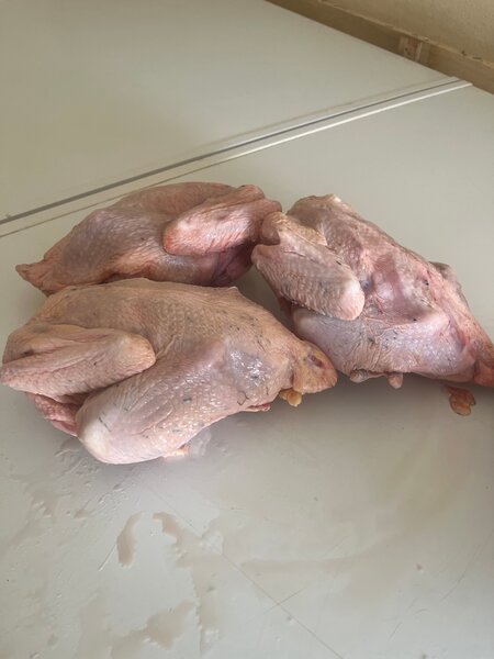 Poulet africain frais