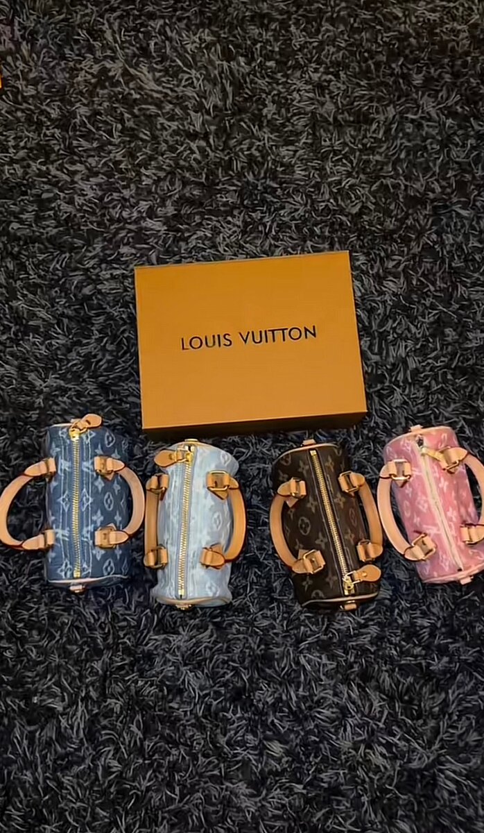 Sac à main Louis Vuitton Speedy