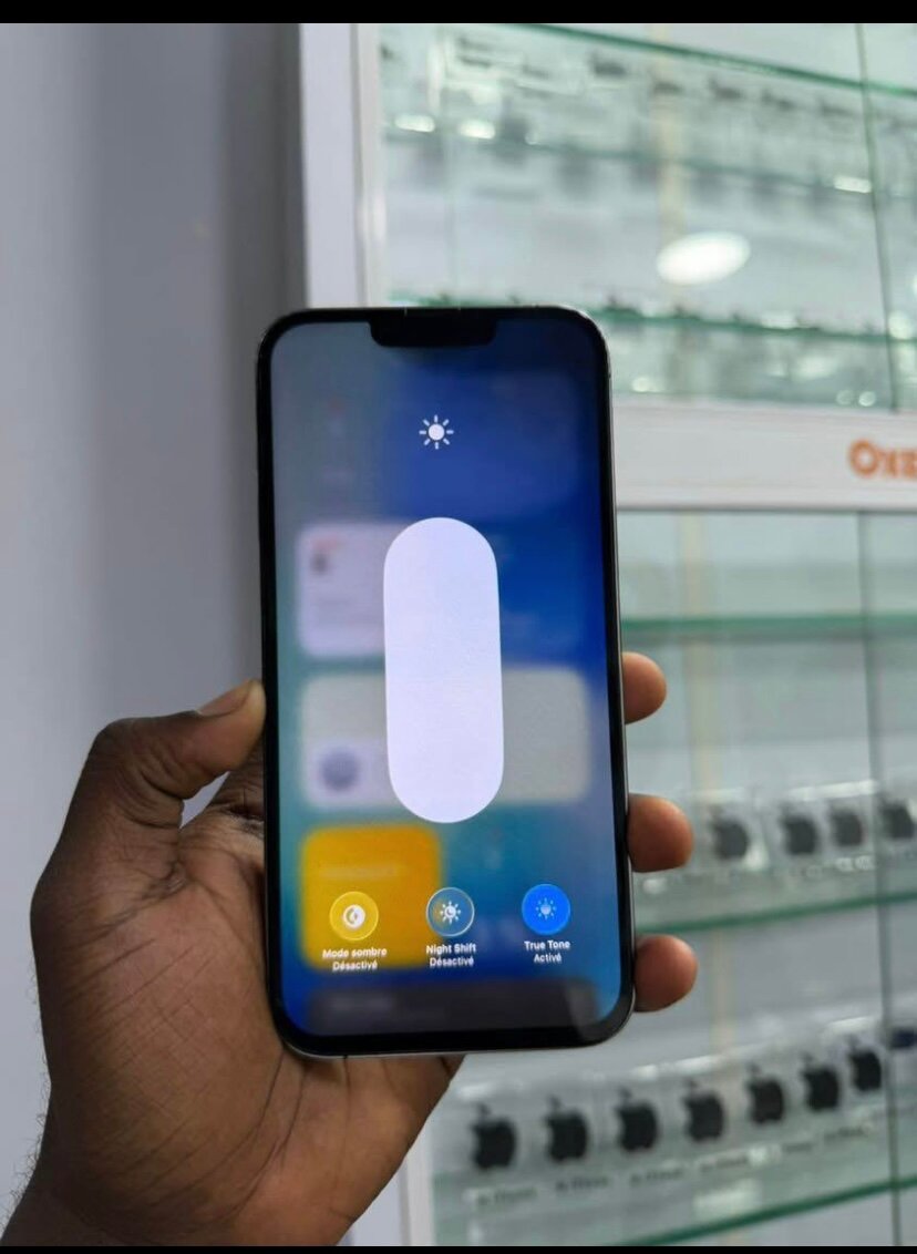 iPhone modèle récent haut de gamme