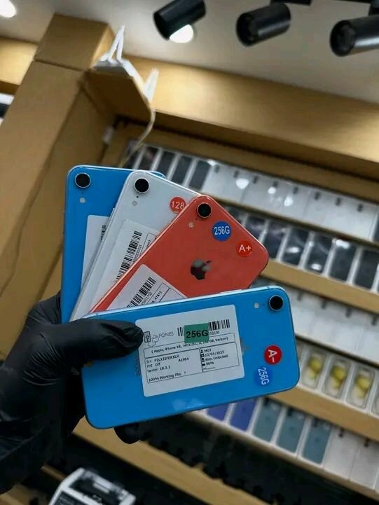iPhone XR - Multicolore