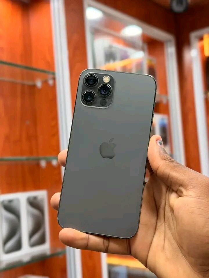 iPhone 12 Pro Gris