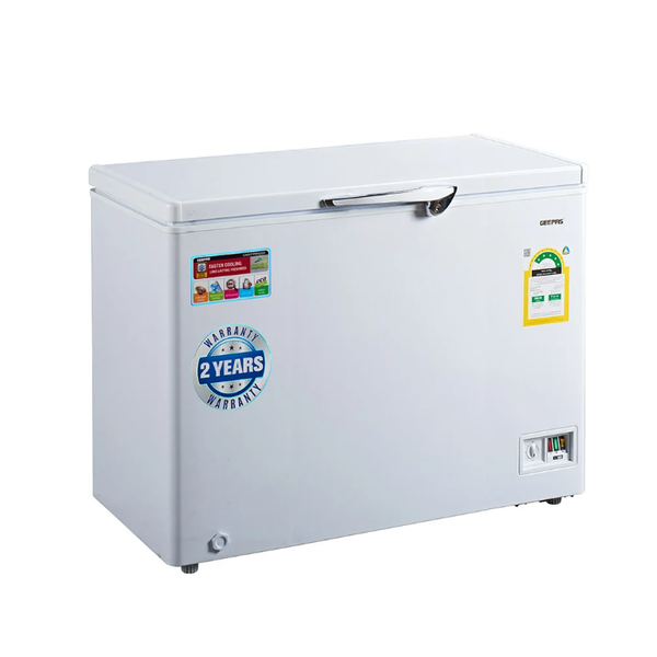 Congélateur Coffre Grande Capacité