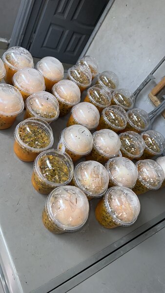 Confit mangue passion