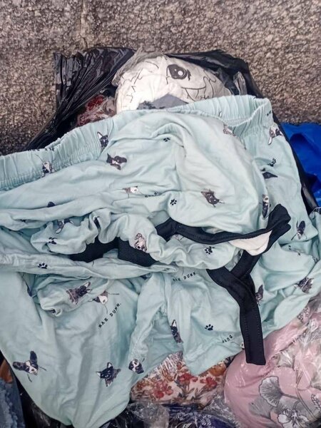 E2Ensemyja as en Coton Étoilés