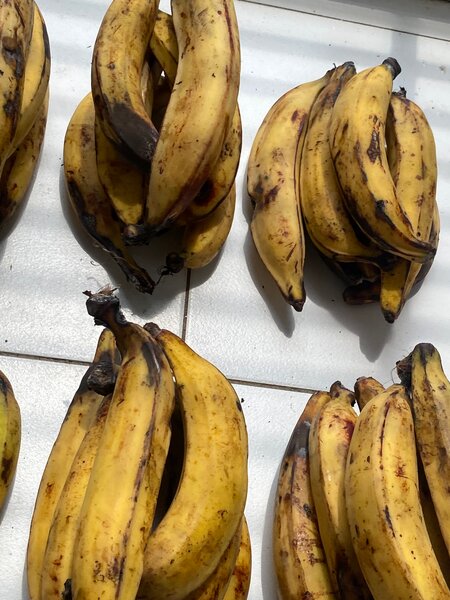 Bananes fraîches bio