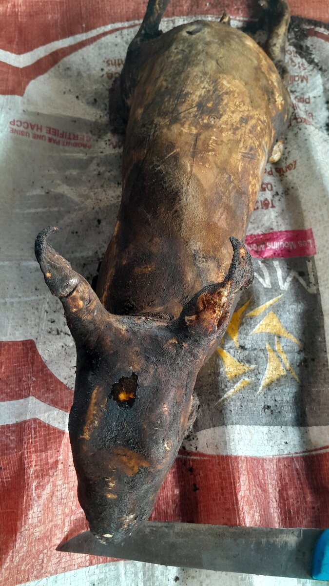 Viande de la chèvre fumée