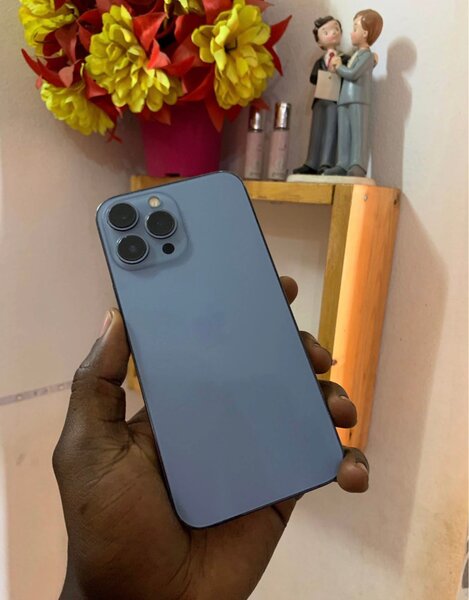 iPhone 13 Pro Max 256giga