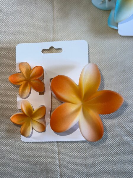 Pins floraux colorés