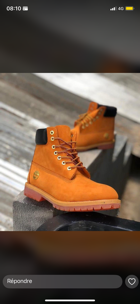 Bottes en cuir robustes