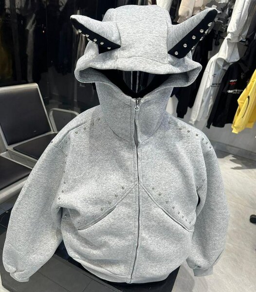 Sweat à capuche stylé