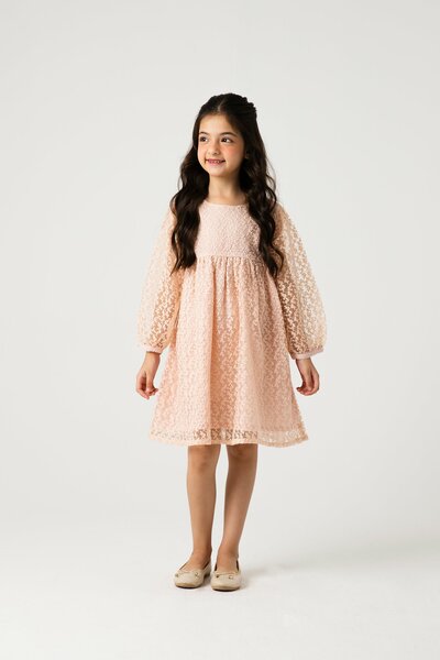 Peach Petal Yoke Net Dress