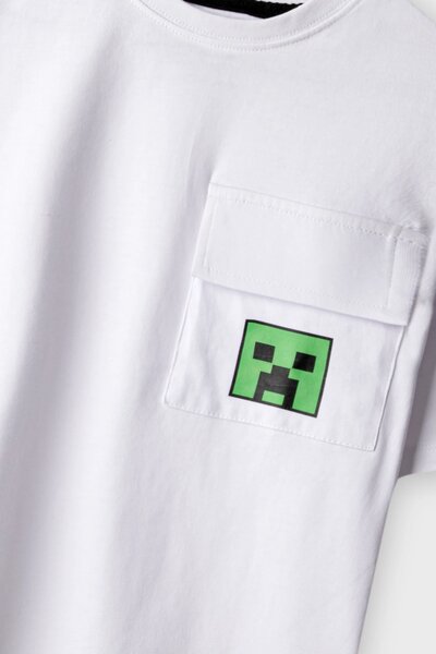 Boys Minecraft Drop Shoulder Tee