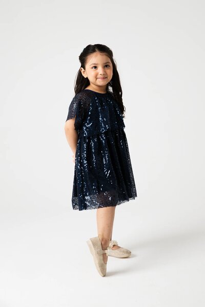 Midnight Sparkle Navy Net Dress