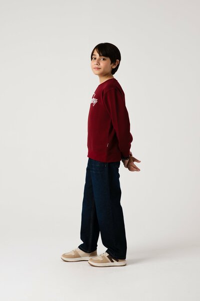 Boys Burgundy Leisure Fleece Sweatshirt