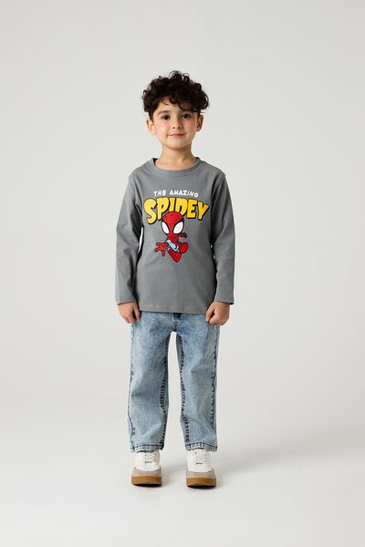 Boys Spidey Grey Hero Tee