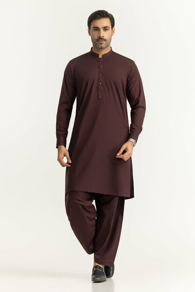 Regular Fit Embroidered Suits