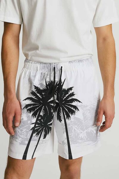 Men's Palm Tree Activewear Swim Shorts