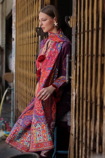 3 Piece Printed Khaddar Suit