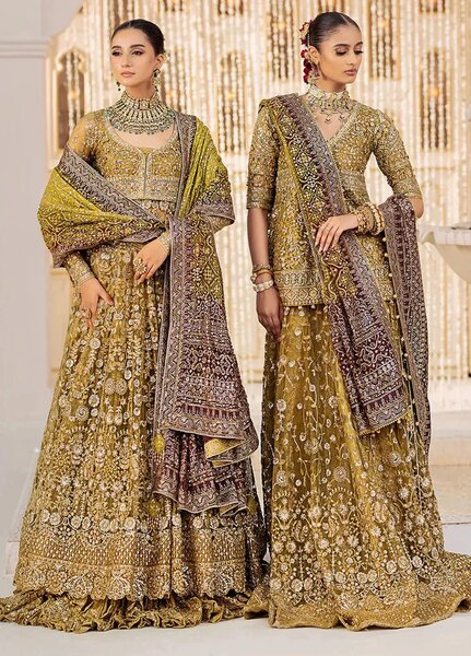 Aik Atelier Embroidered Net Suits Unstitched 3 Piece AIK25EF Vl2 Look 04 - Formals Collection