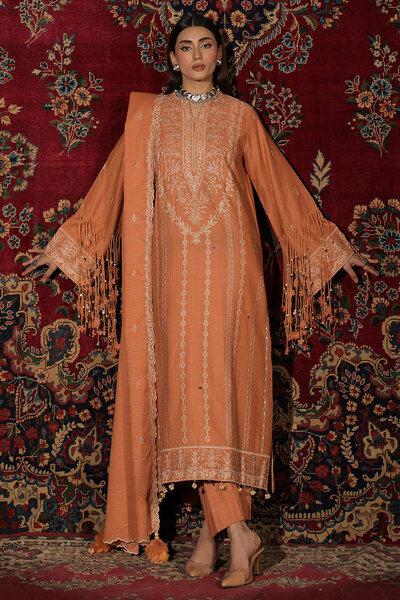 3 Piece Embroidered Kantha Stripe Suit