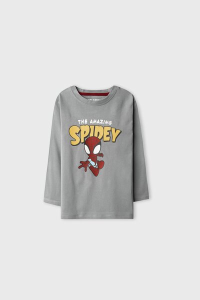 Boys Spidey Grey Hero Tee