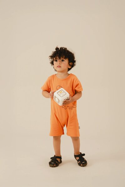 Boys Cub & Dino Romper Set (Pack of 2)