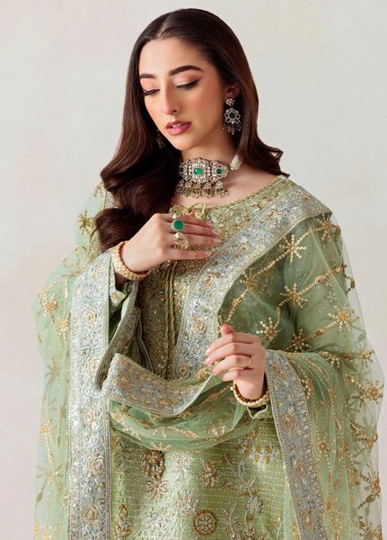 Aik Atelier Embroidered Tissue Suits Unstitched 3 Piece AIK25EF Vl1 D-04 - Formals Collection