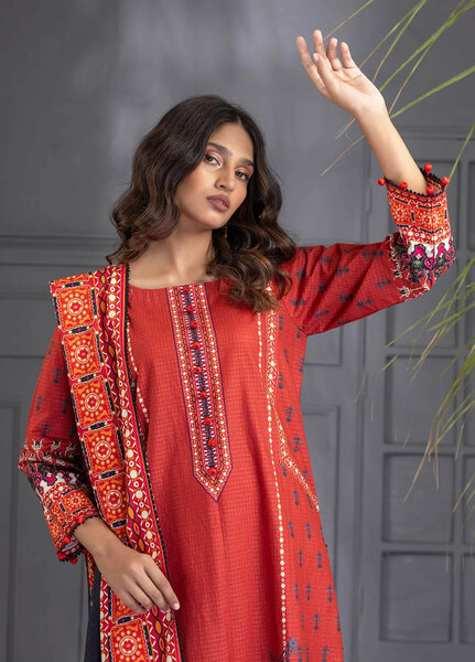 Bana Dora Wintry by Regalia Textiles Printed Suits Unstitched 3 Piece RGT24BD D-05 - Winter Collection