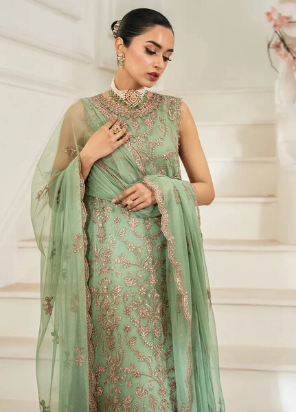 Nafees by Zarif Embroidered Net Suit Unstitched 3 Piece ZR25UF ZNAF-06 Asel - Formals Collection