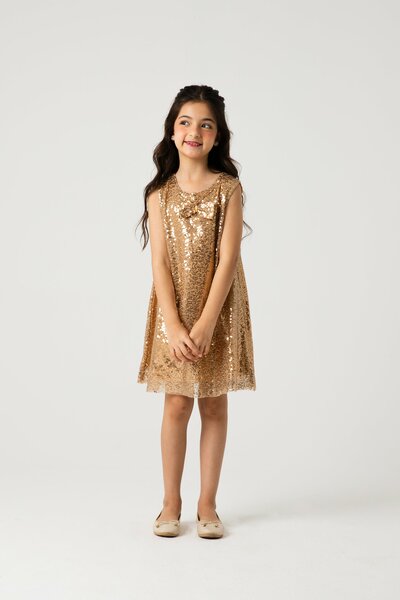 Golden Stardust Sequin Dress