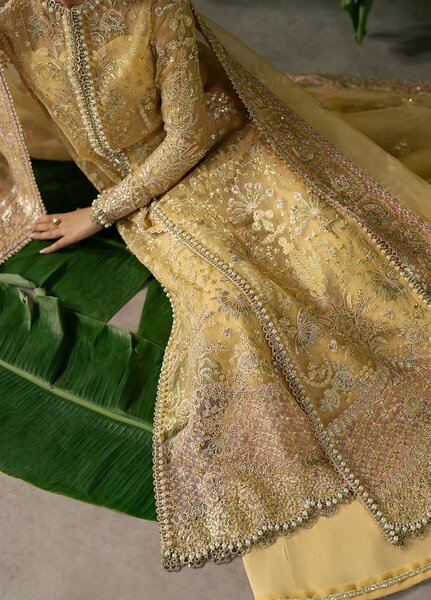 Pehli Nazar by Ayzel Embroidered Organza Suits Unstitched 3 Piece AAFPZ25 D-03 Chahat - Formals Collection
