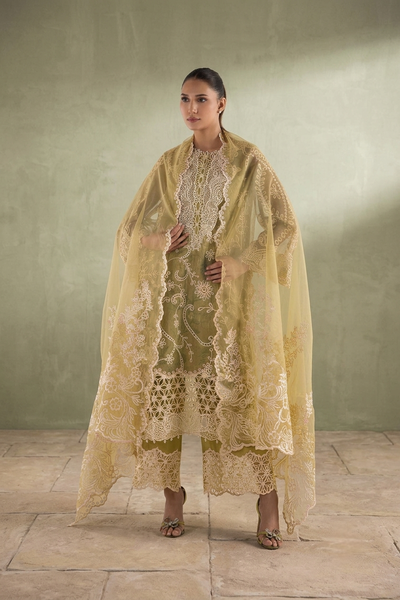 Stitched Embroidered Organza Dupatta