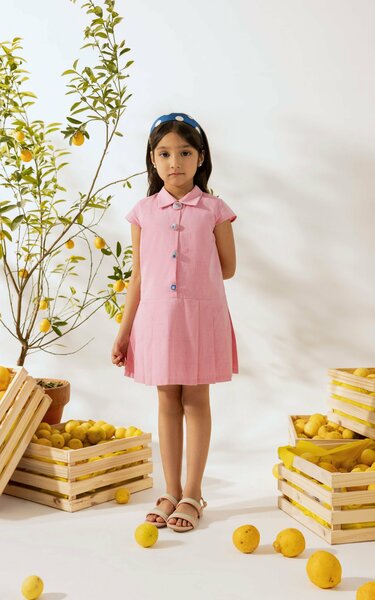 Serena | Cotton chambray dress with pleated flare and embroidered buttons