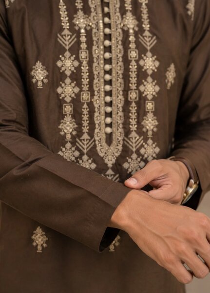 TGM Mens RTW Chikankari Chikankari Kurta Pajama Suit Elvar Brown Festive Collection